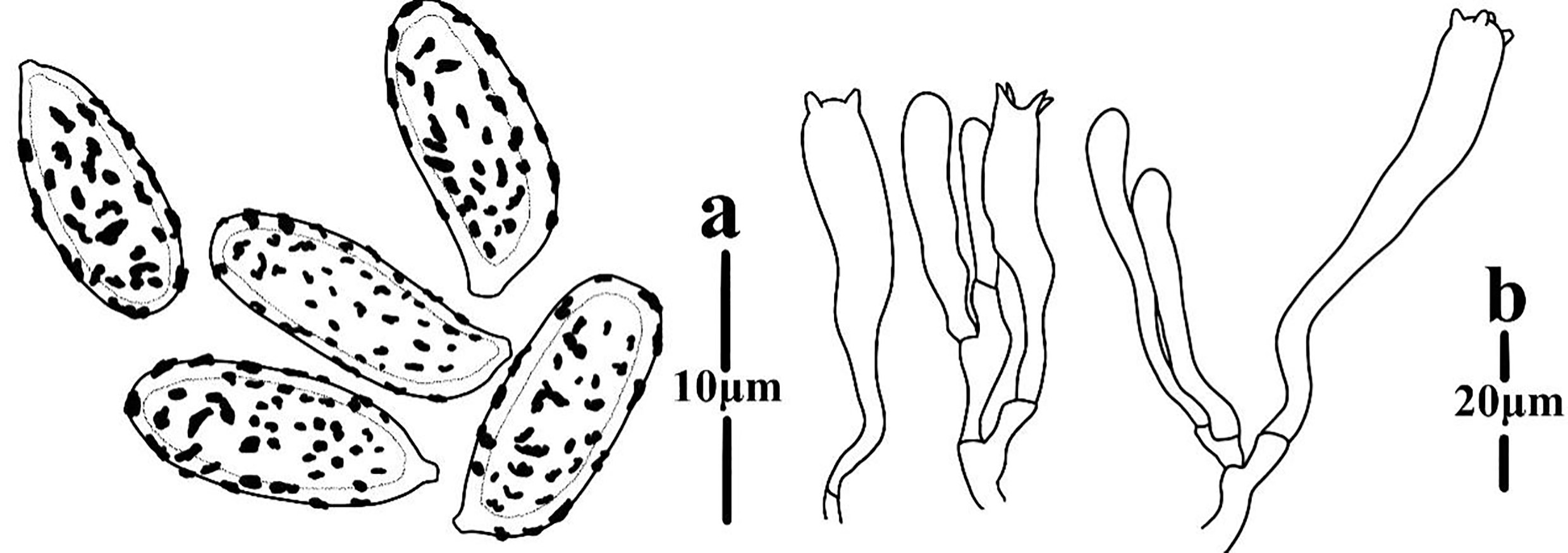 Figure 83